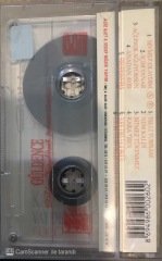 Gülden Karaböcek Sevmez Olaydım KASET