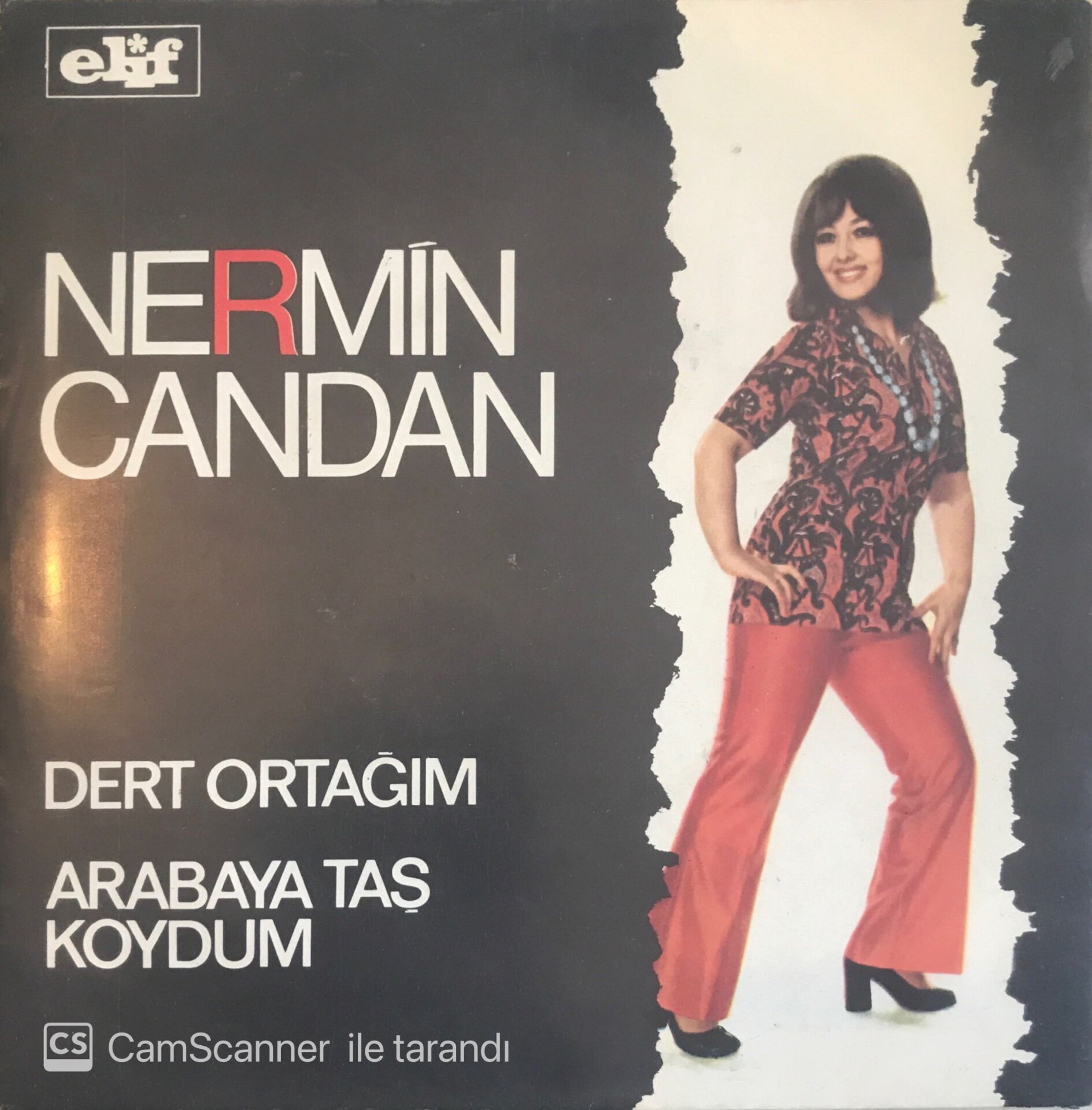 Nermin Candan - Dert Ortağım 45lik