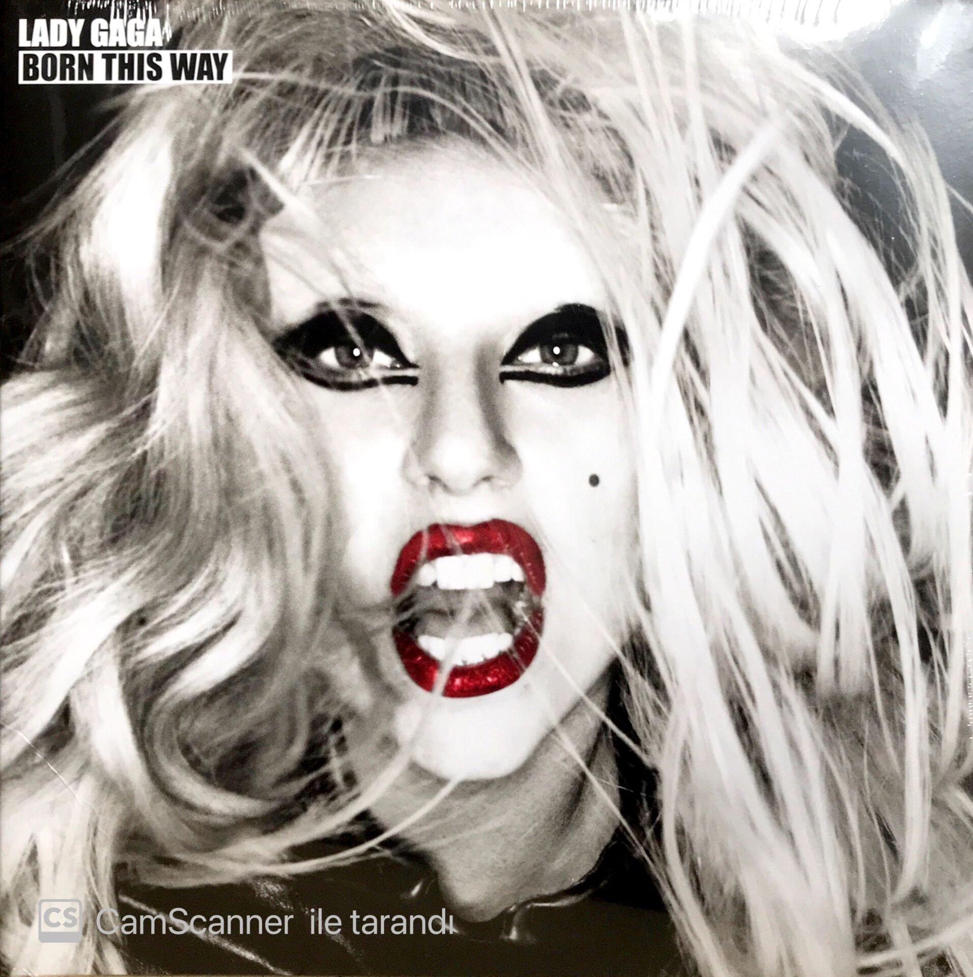 Lady Gaga / Born This Way LP