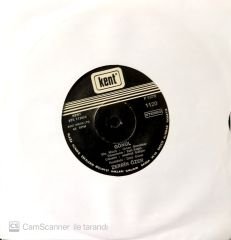 Zerrin Özer / Gönül 45'lik