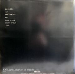 Steely Dan / Aja LP