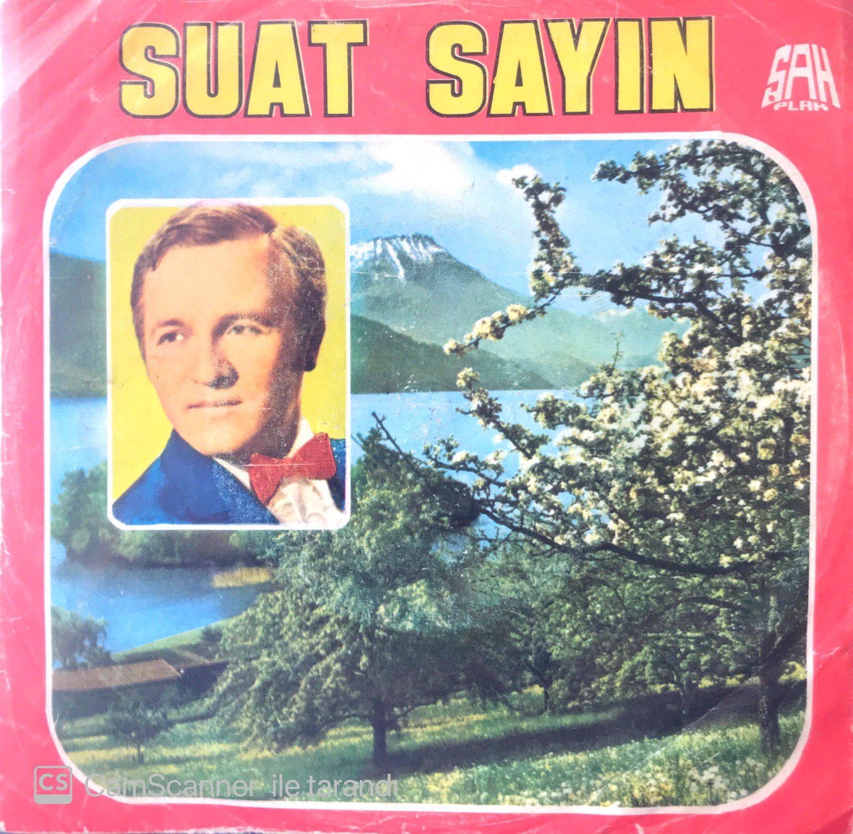 Suat Sayın / Yolcu İle Arabacı 45'lik