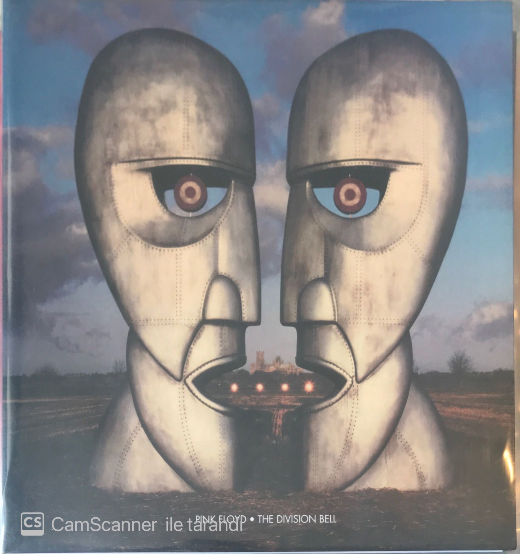 Pink Floyd The Division Bell Double LP (Toz pembe renk)