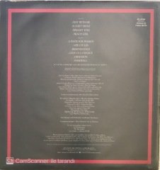 Jean Luc Ponty A Taste For Passion LP