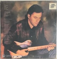 David Gilmour - About Face LP