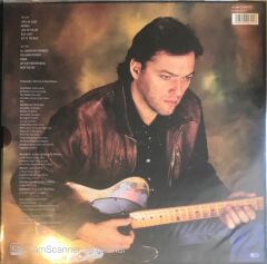 David Gilmour - About Face LP