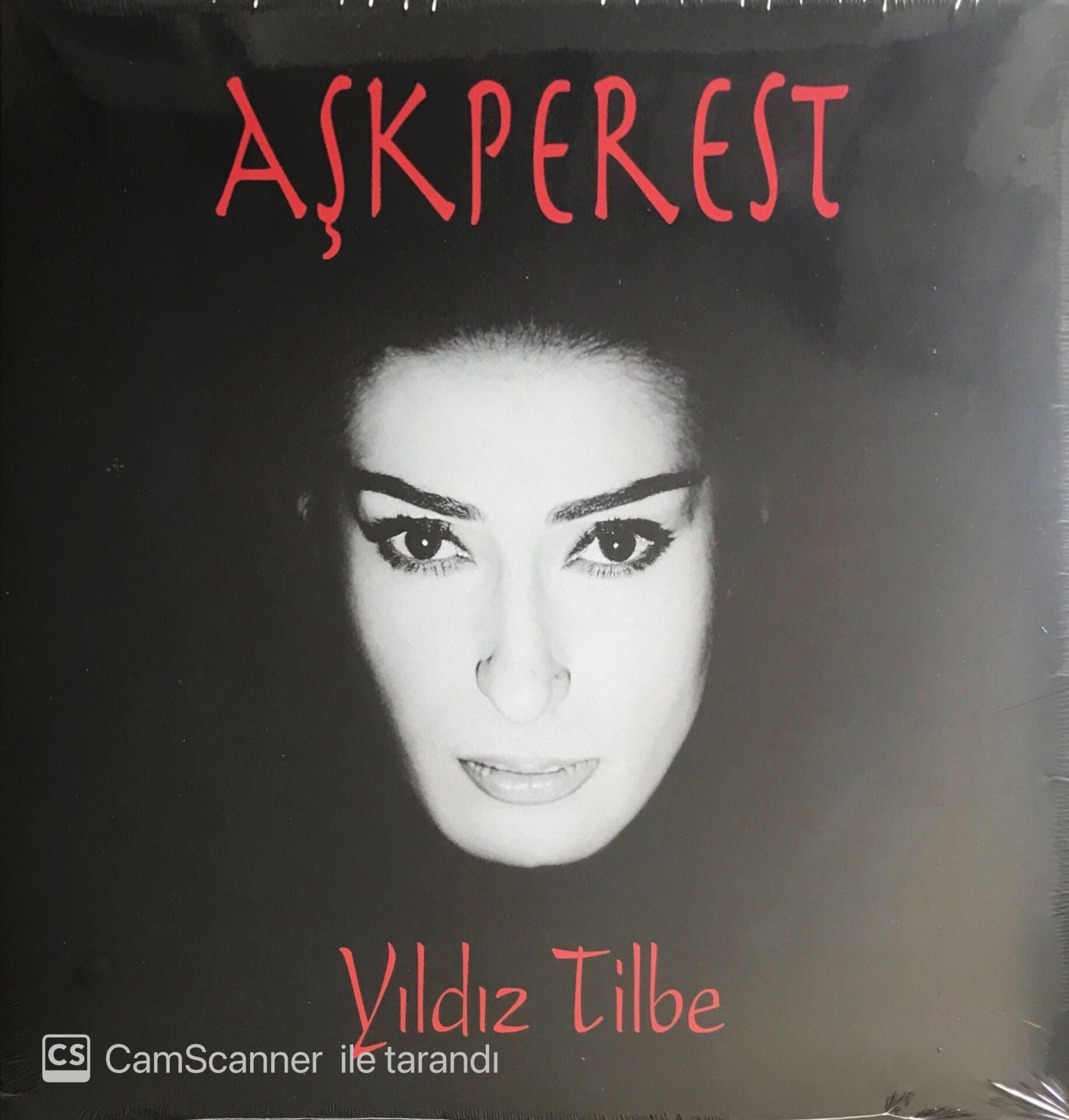 Yıldız Tilbe - Aşkperest - LP