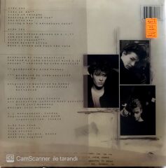 A-HA Hunting high and Low (Şeffaf Renkli) LP