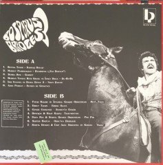 Bosporus Bridges 3 LP