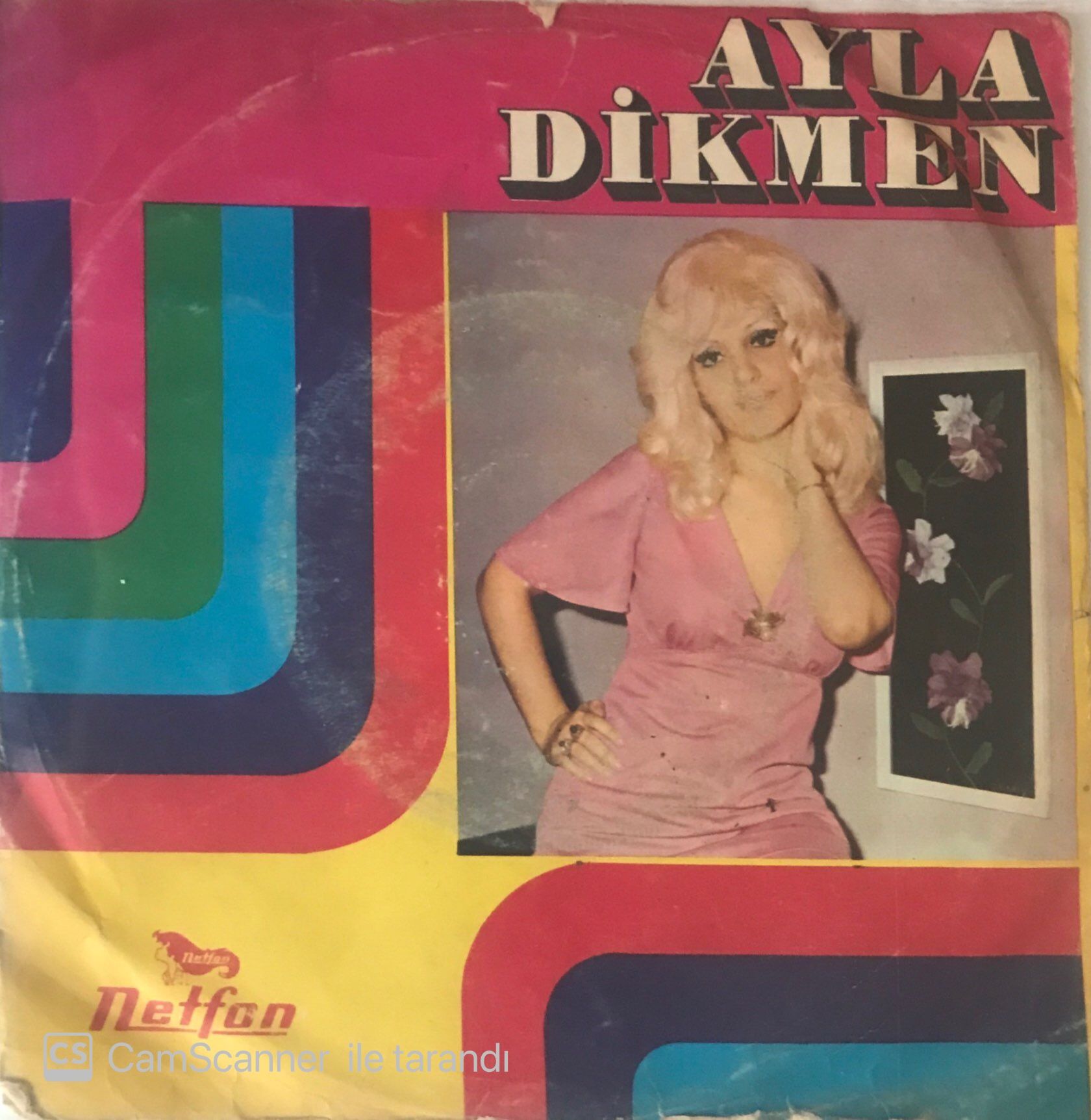 Ayla Dikmen Sus Arkadaş 45lik