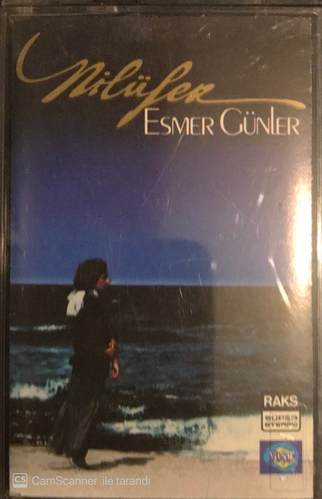 Nilüfer - Esmer Günler KASET
