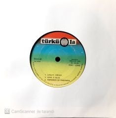 Werner Müller Ork. / Mini Long 45'lik