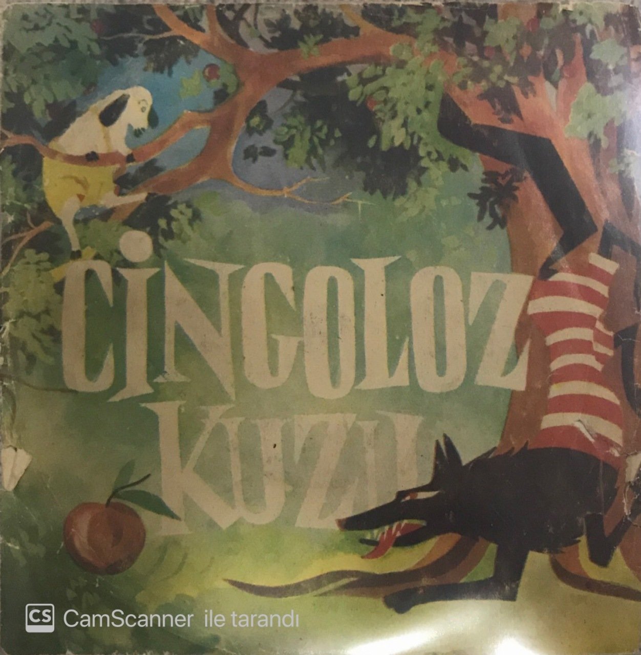 Cingoloz Kuzu 45lik