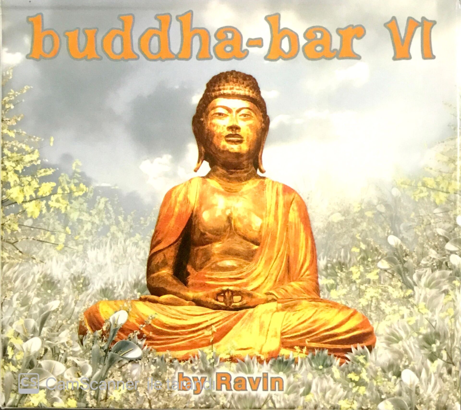 Buddha-bar VI CD