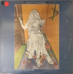 Kathi Mc Donald Insane Asylum LP