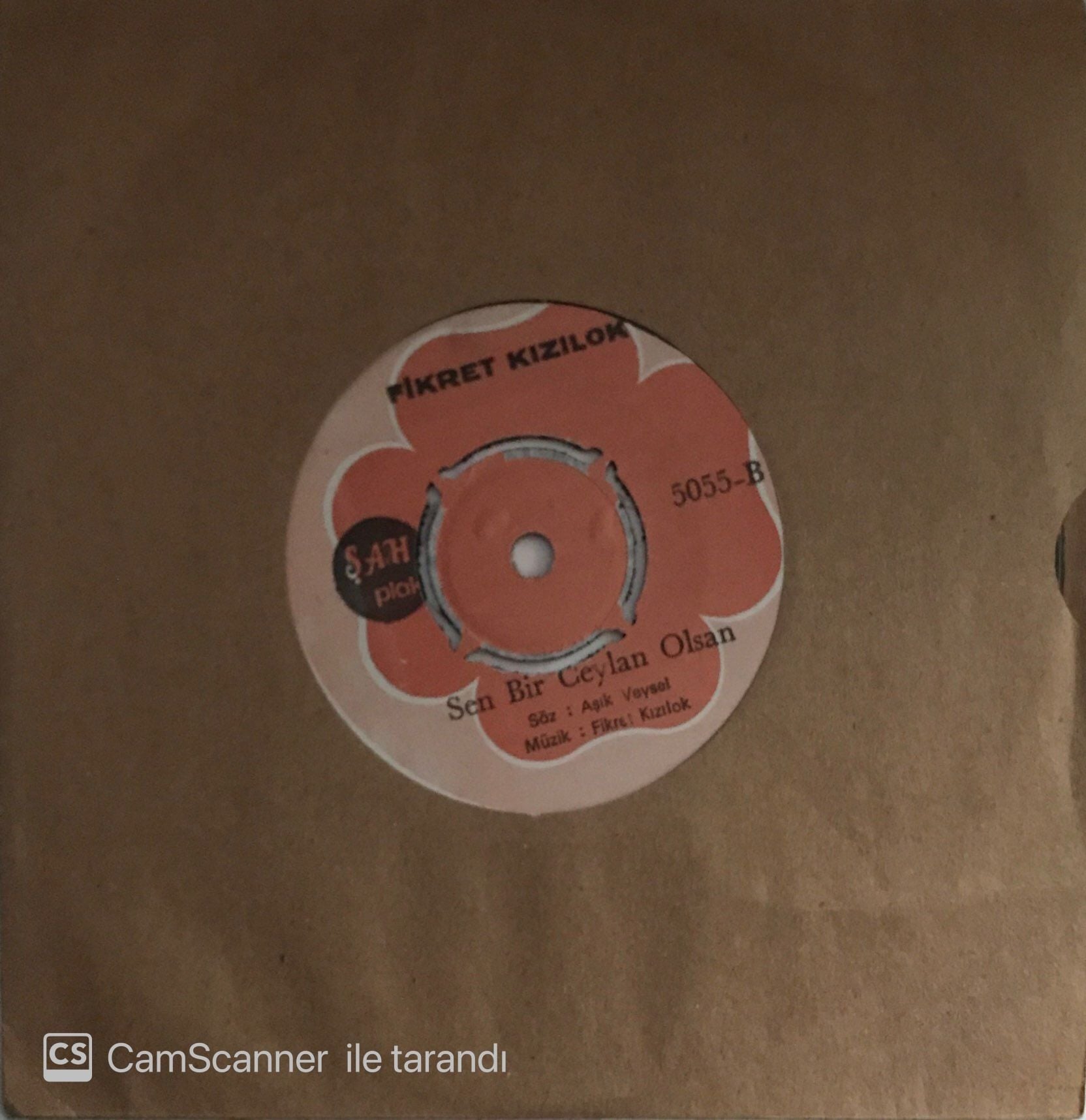 Fikret Kızılok Sen Bir Ceylan Olsan 45lik
