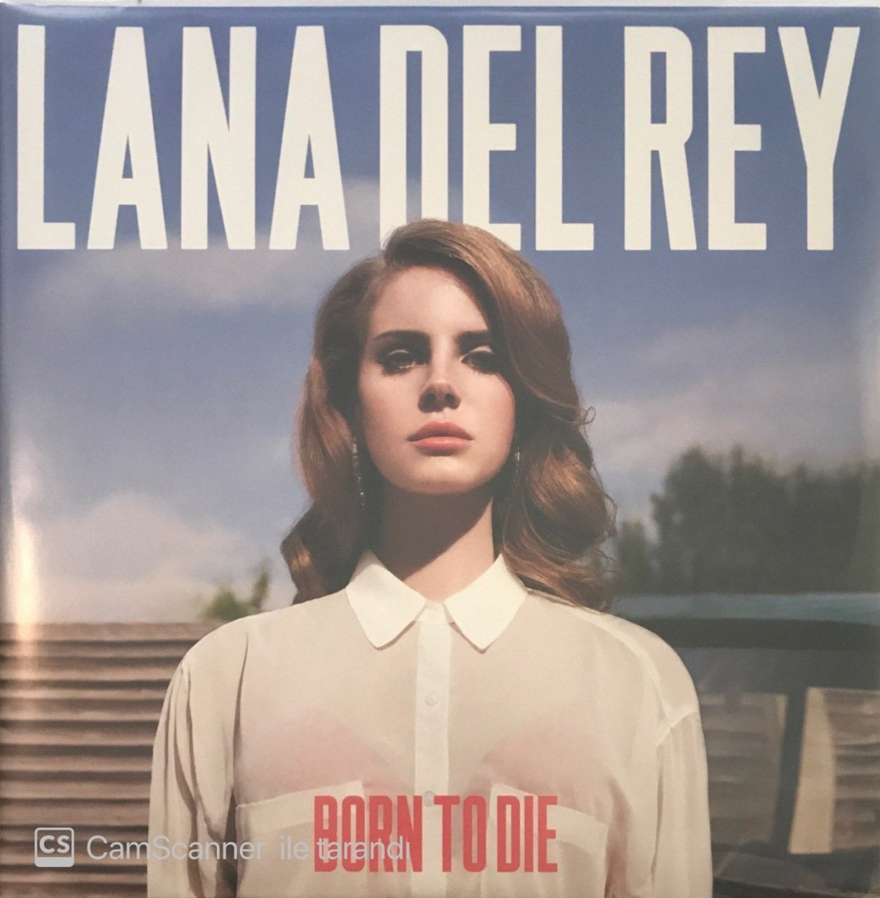 Lana Del Rey - Born To Die Double LP