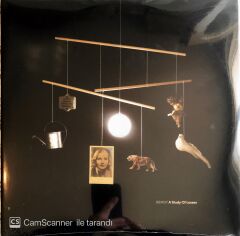 Beirut - A Study of Losses ( Mavi Plak) LP