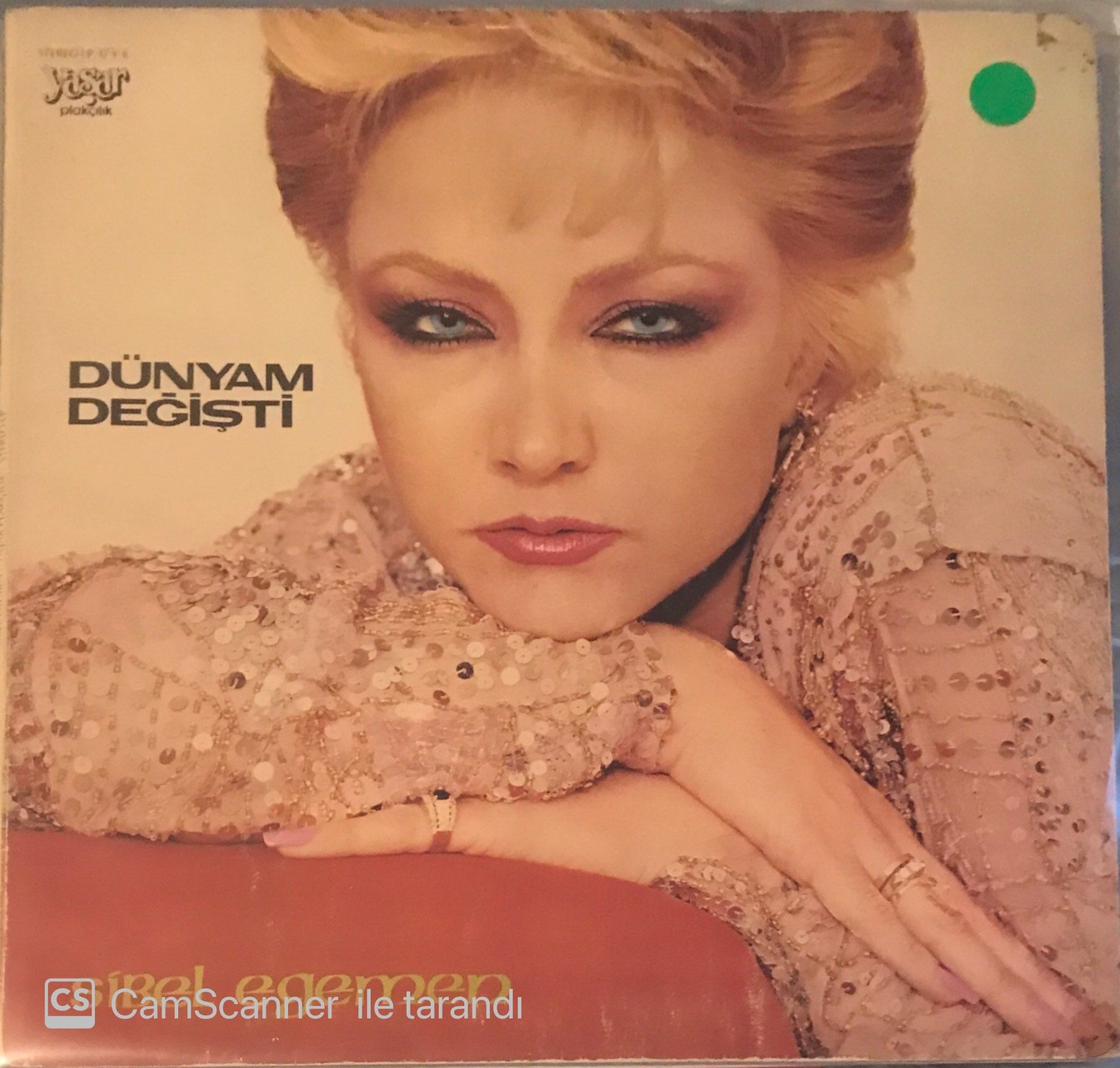 Sibel Egemen - Dünyam Değişti LP