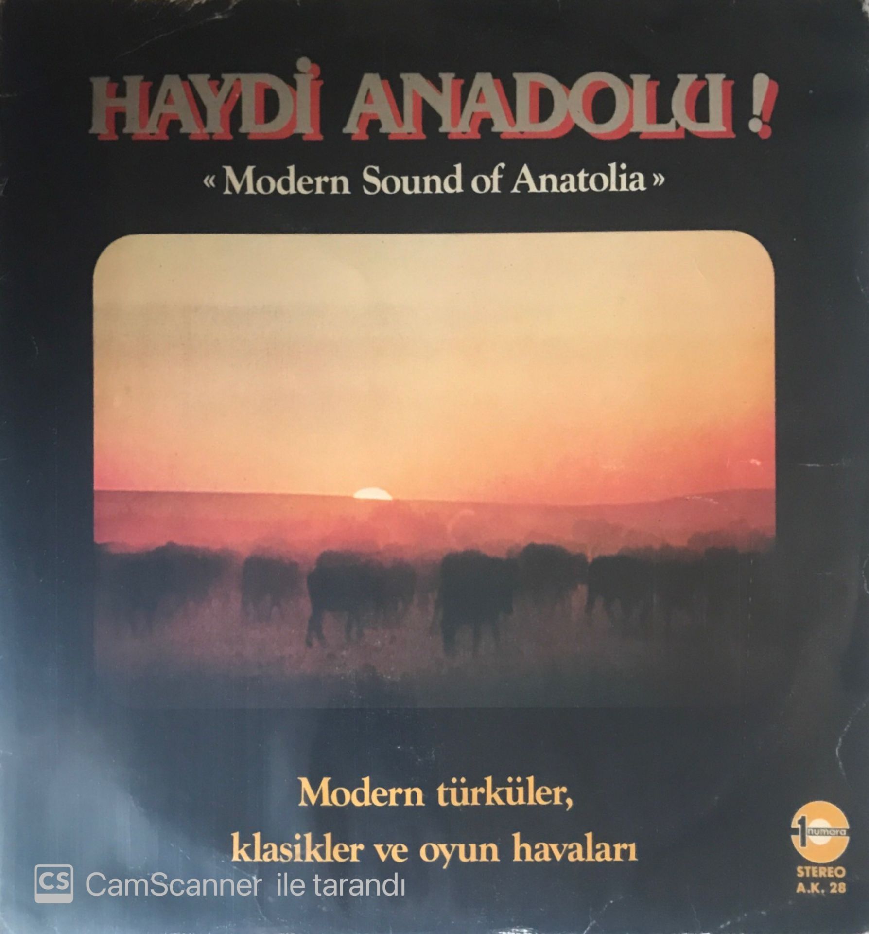 Haydi Anadolu Modern Sound Of Anatolia LP