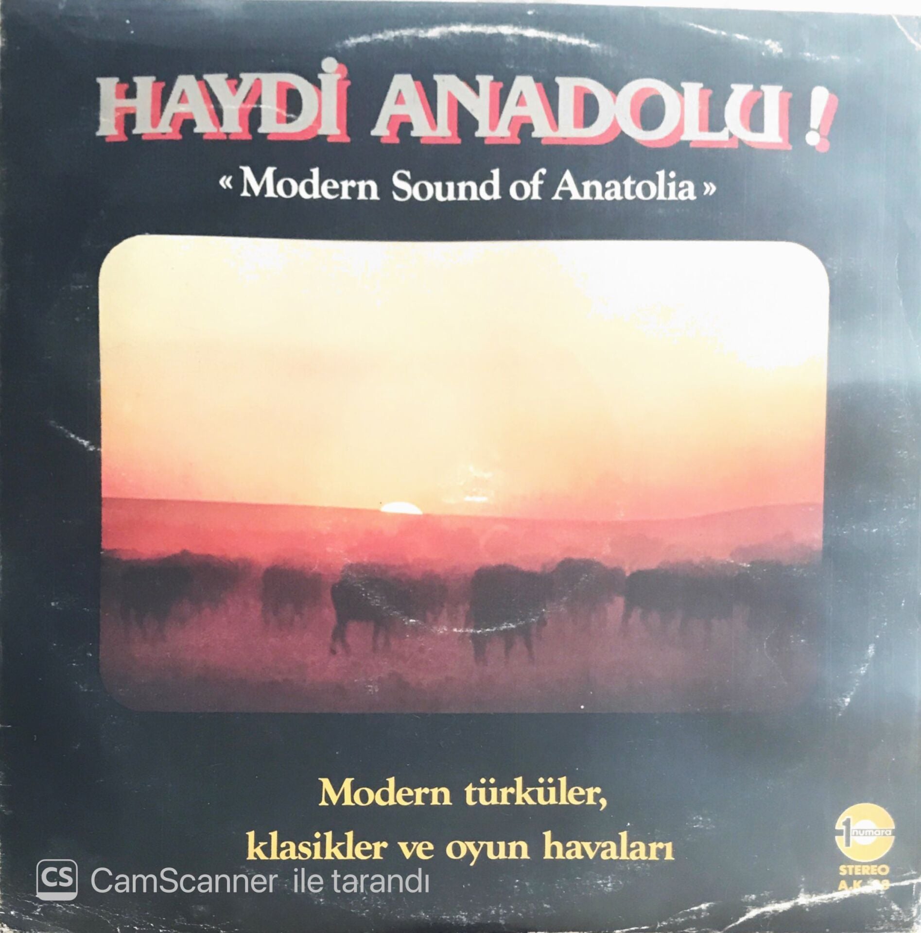 Haydi Anadolu! ''Modern Sound Of Anatolia'' - LP