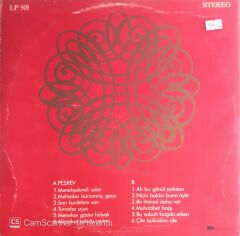 Safiye Ayla - 1974 Konserinden Seçmeler - LP