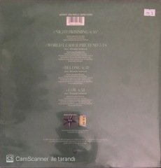 R.E.M. Nightswimming MAXI