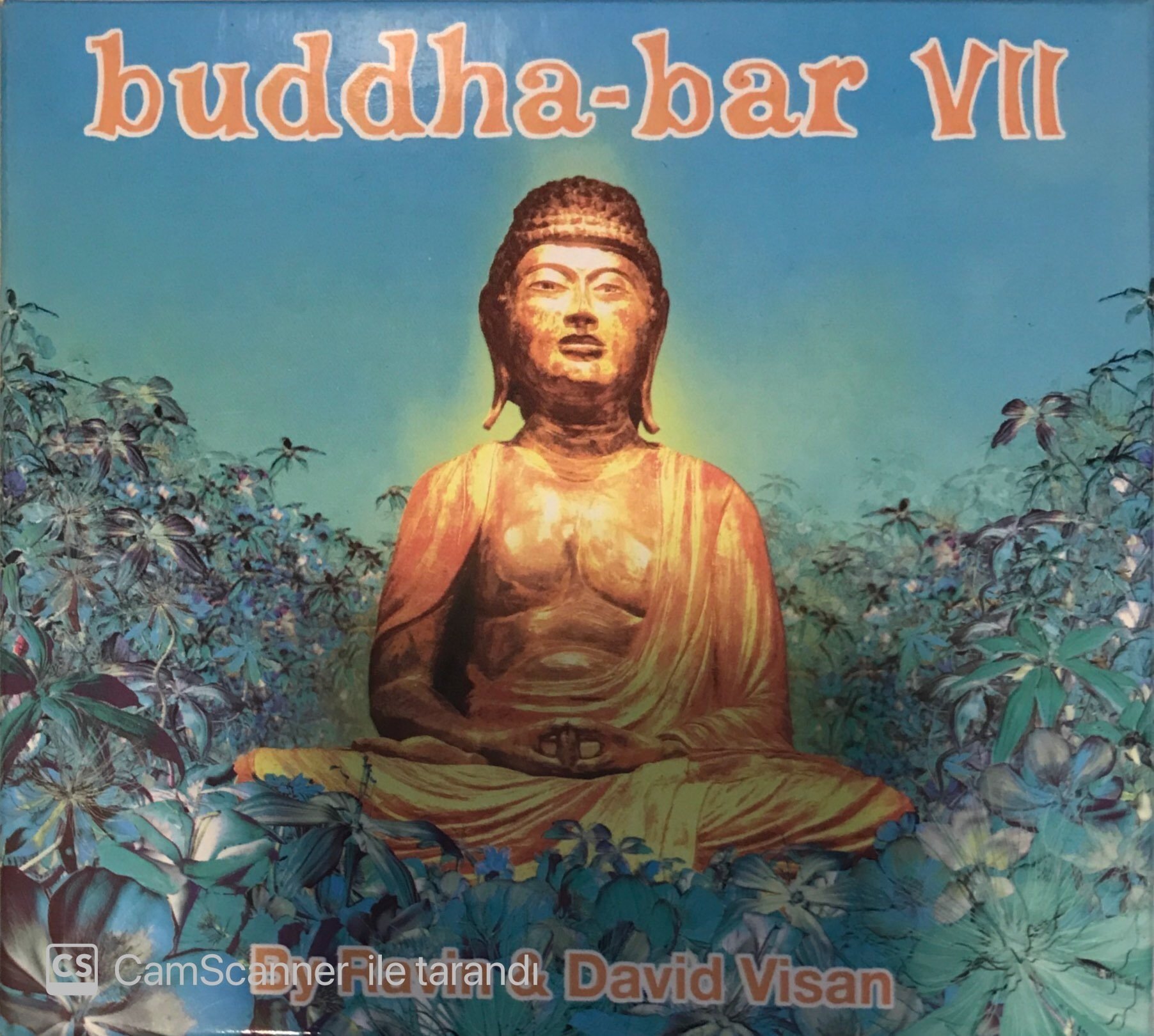 Buddha Bar 7 CD