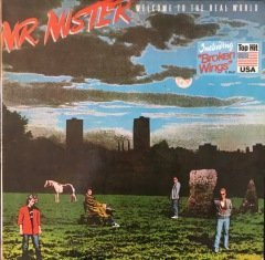 Mr. Mister Welcome To The Real World