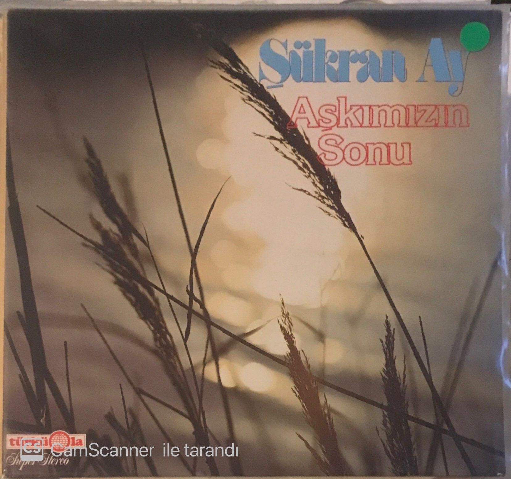 Şükran Ay - Aşkımızın Sonu LP