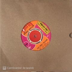 Suna Artun İçli Dışlı Olalım 45lik