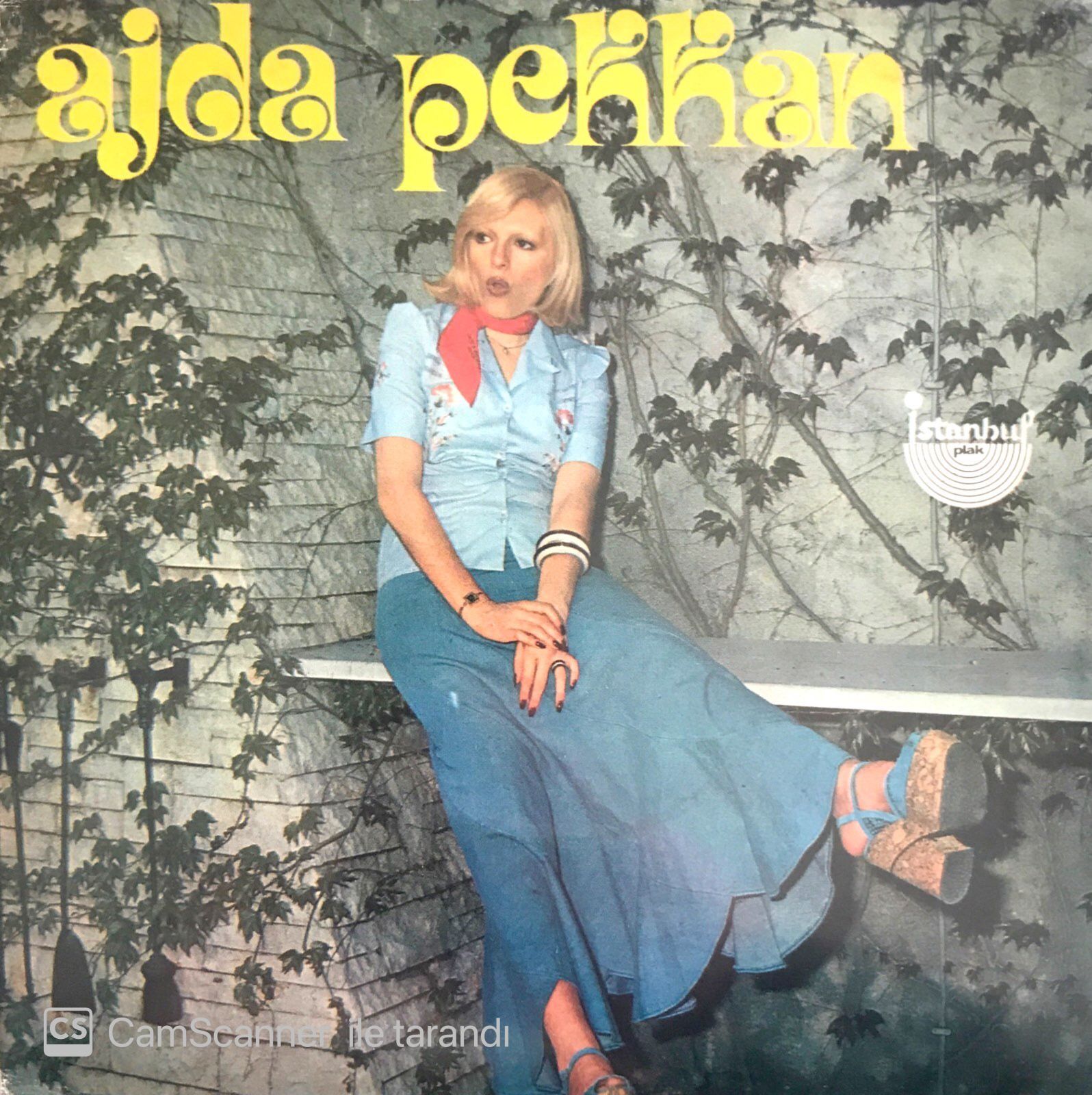 Ajda Pekkan / Hoş Gör Sen 45'lik