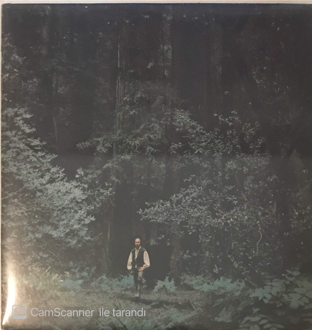 Paul Winter And The Winter Consort Something In The Wind LP