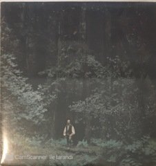 Paul Winter And The Winter Consort Something In The Wind LP