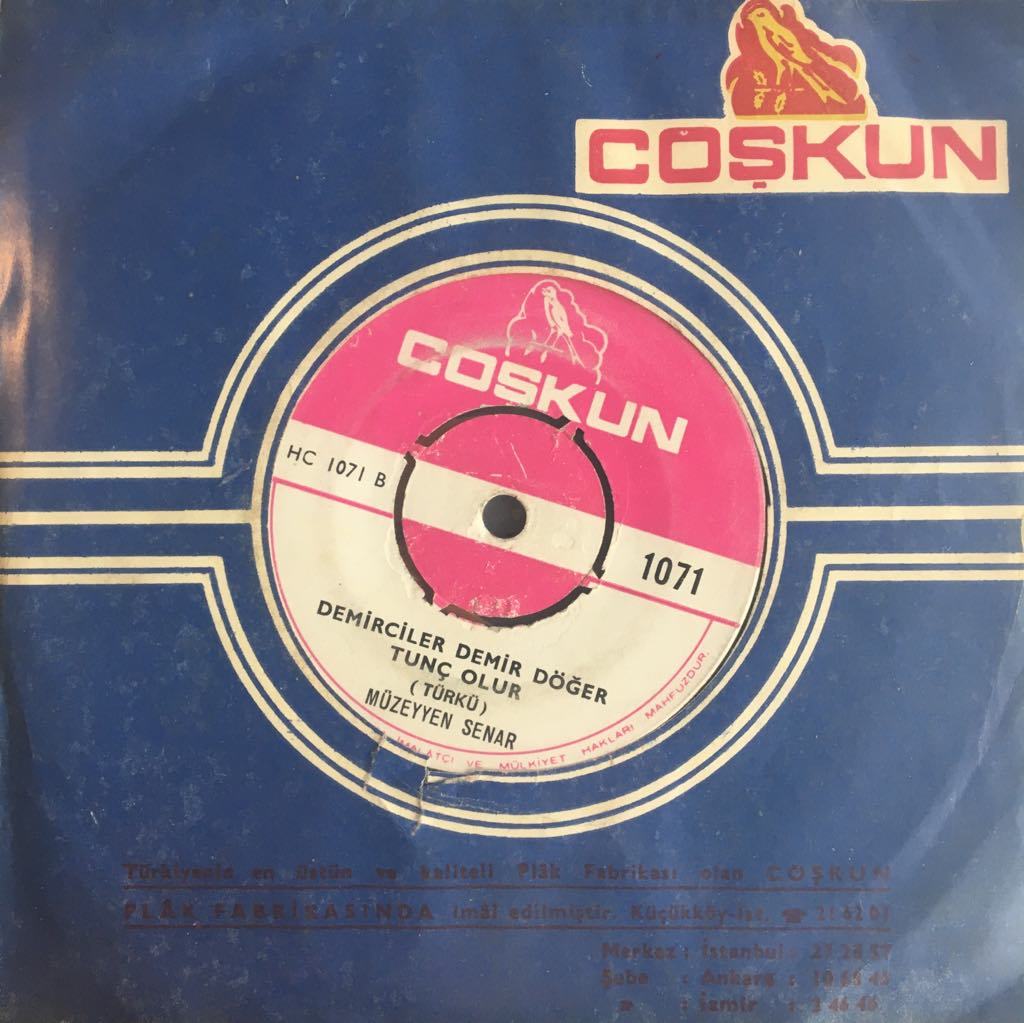 Müzeyyen Senar Sormadın Halimi Hiç 45lik