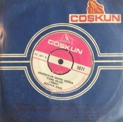 Müzeyyen Senar Sormadın Halimi Hiç 45lik