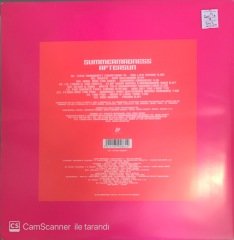 Summermadness Aftersun Double LP