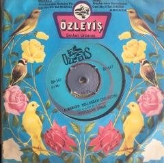 Feyzullah Çınar Almanyayı Hollandayı (Dolaştın ) 45lik