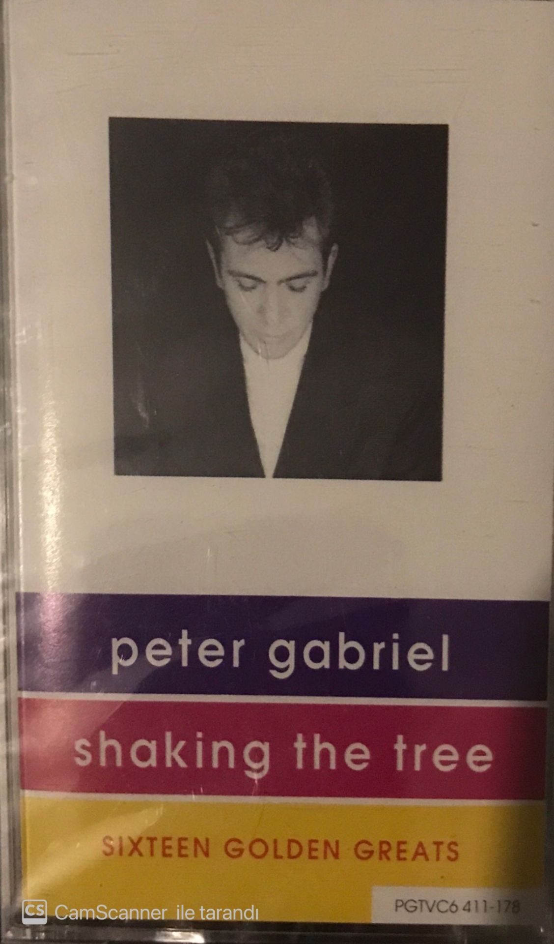Peter Gabriel Shaking The Tree KASET