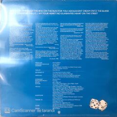 Manfred Mann's Earth Band / Chance LP