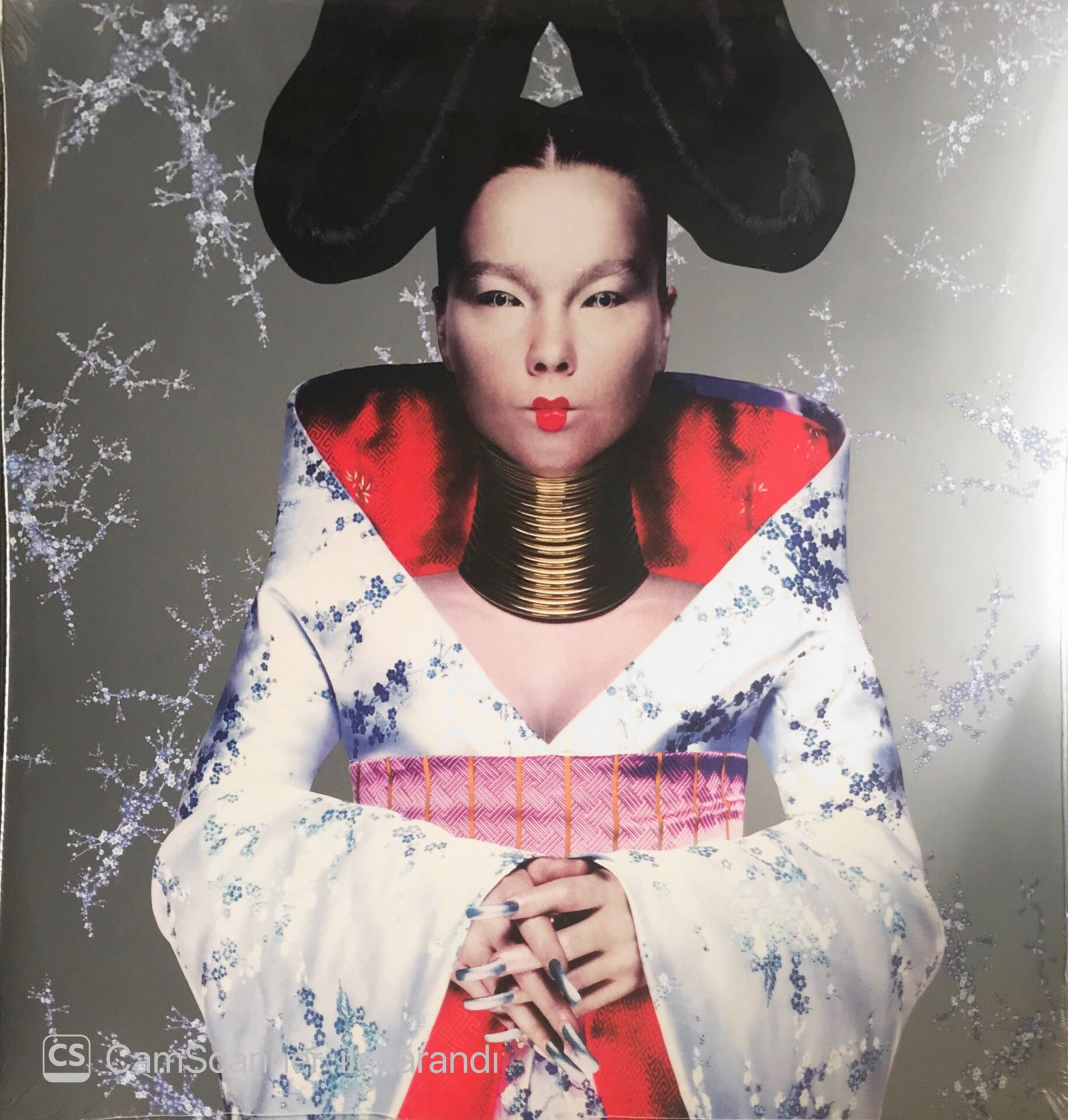 Björk - Homogenic - LP