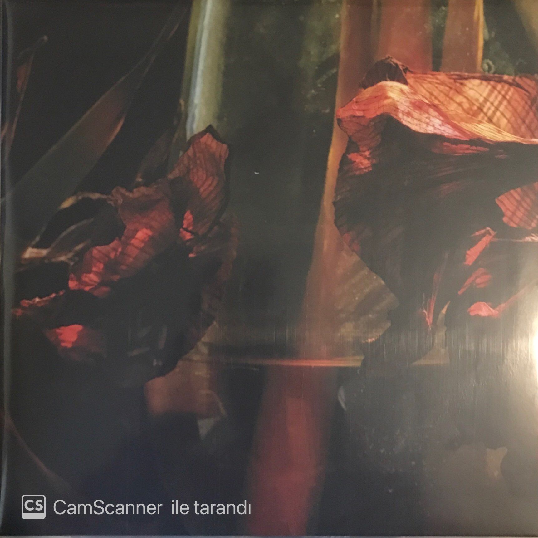 Hayvanlar Alemi Psychedelıa in Tımes of Turbulance LP
