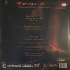 Hayvanlar Alemi Psychedelıa in Tımes of Turbulance LP