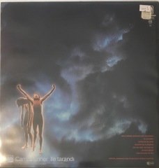 Roger Hodgson In The Eye Of The Storm LP
