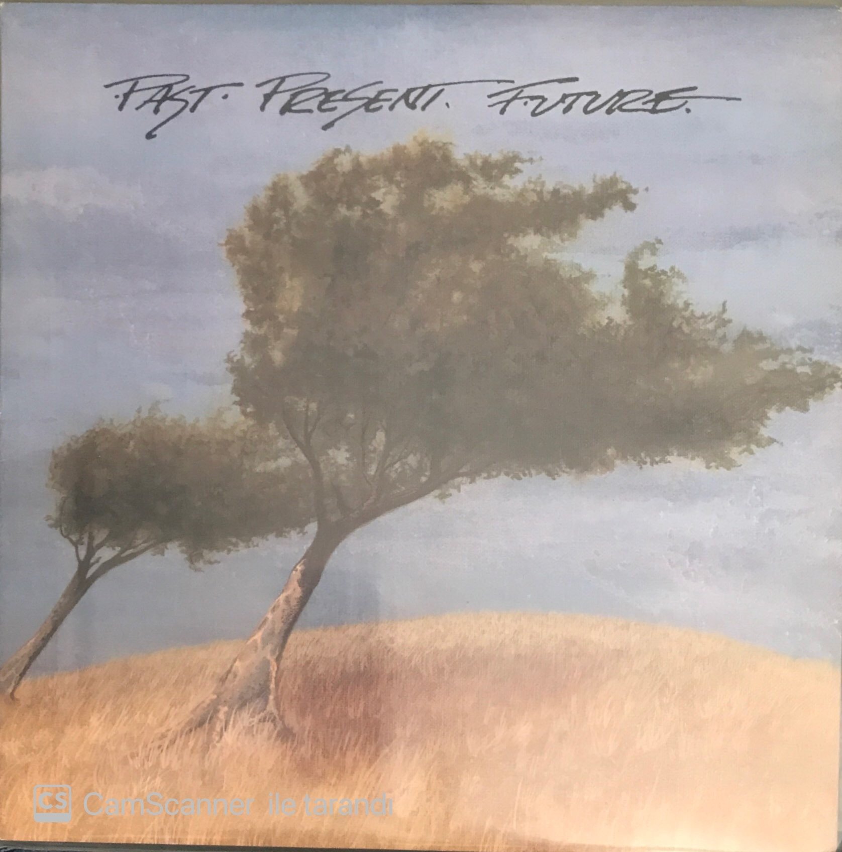 Past Present Future LP