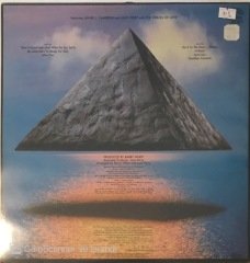 The Love Unlimited Orchestra Rise LP