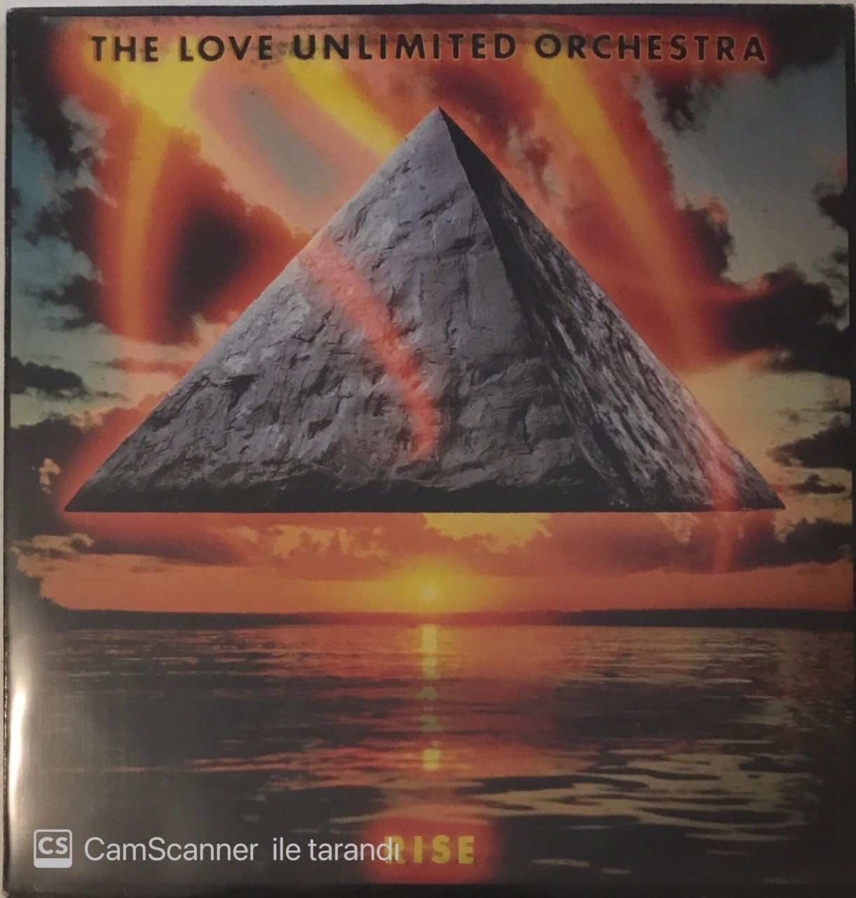 The Love Unlimited Orchestra Rise LP