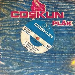 Fatma Türkan Mini LP 45lik