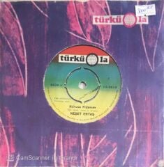 Neşet Ertaş - Fidayda/Kurursa Fidanım - 45'lik