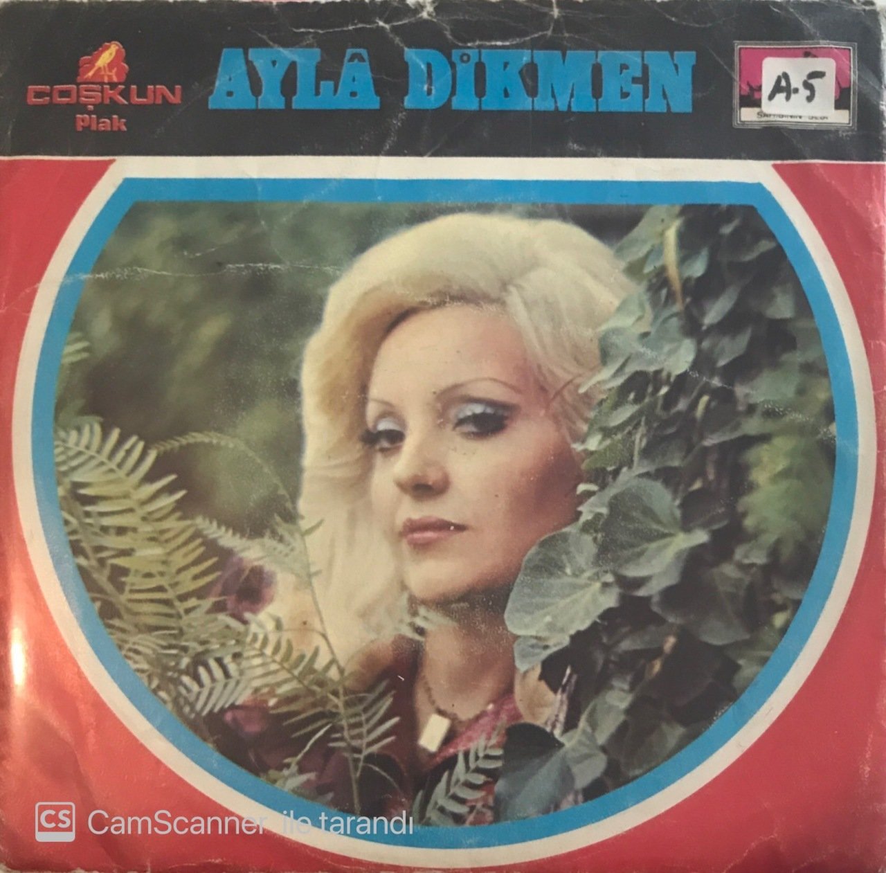 Ayla Dikmen Anlamadın Mı 45lik